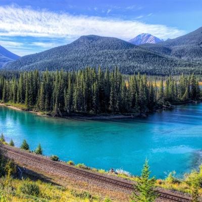 皇家88手机app下载